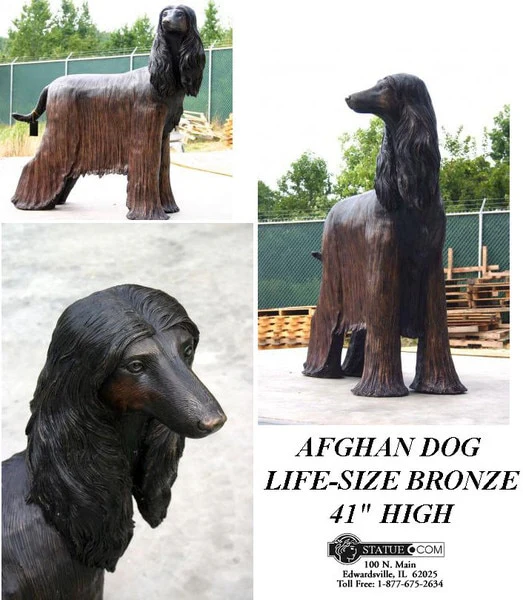 Afghan Dog Life-size Bronze 41" High