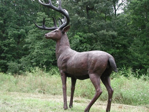 American White Tailed Deer Bronze Sculpture - Image 4