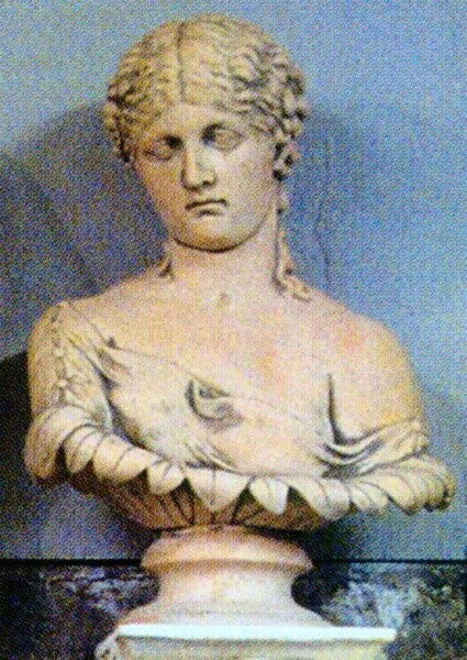 Antonia Bust Replica at the British Museum - Image 2