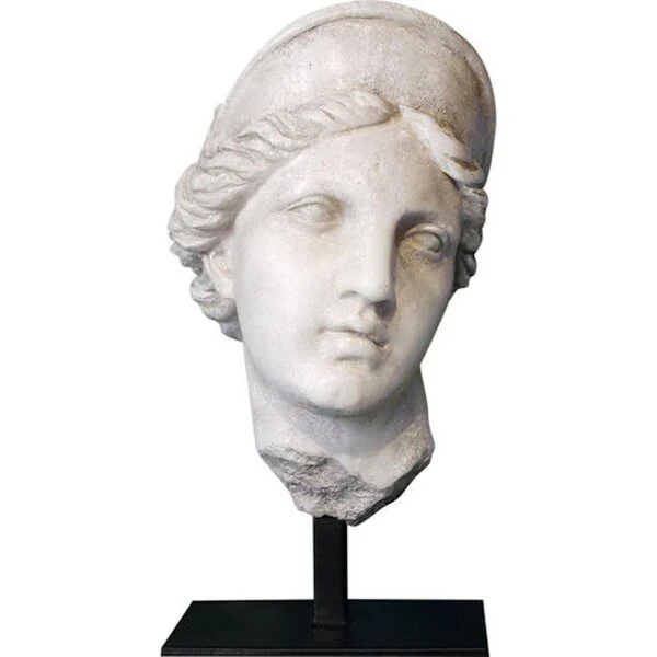 Aphrodite Bust on Museum Base Statue