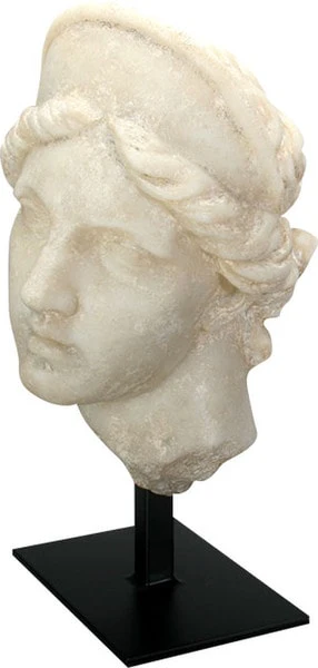 Aphrodite Bust on Museum Base Statue - Image 2