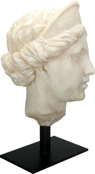Aphrodite Bust on Museum Base Statue - Image 3