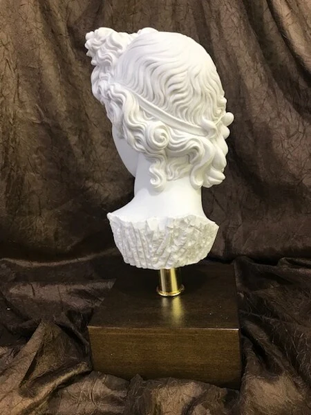 Head of Apollo Belvedere on Base Bust Statue - Image 4