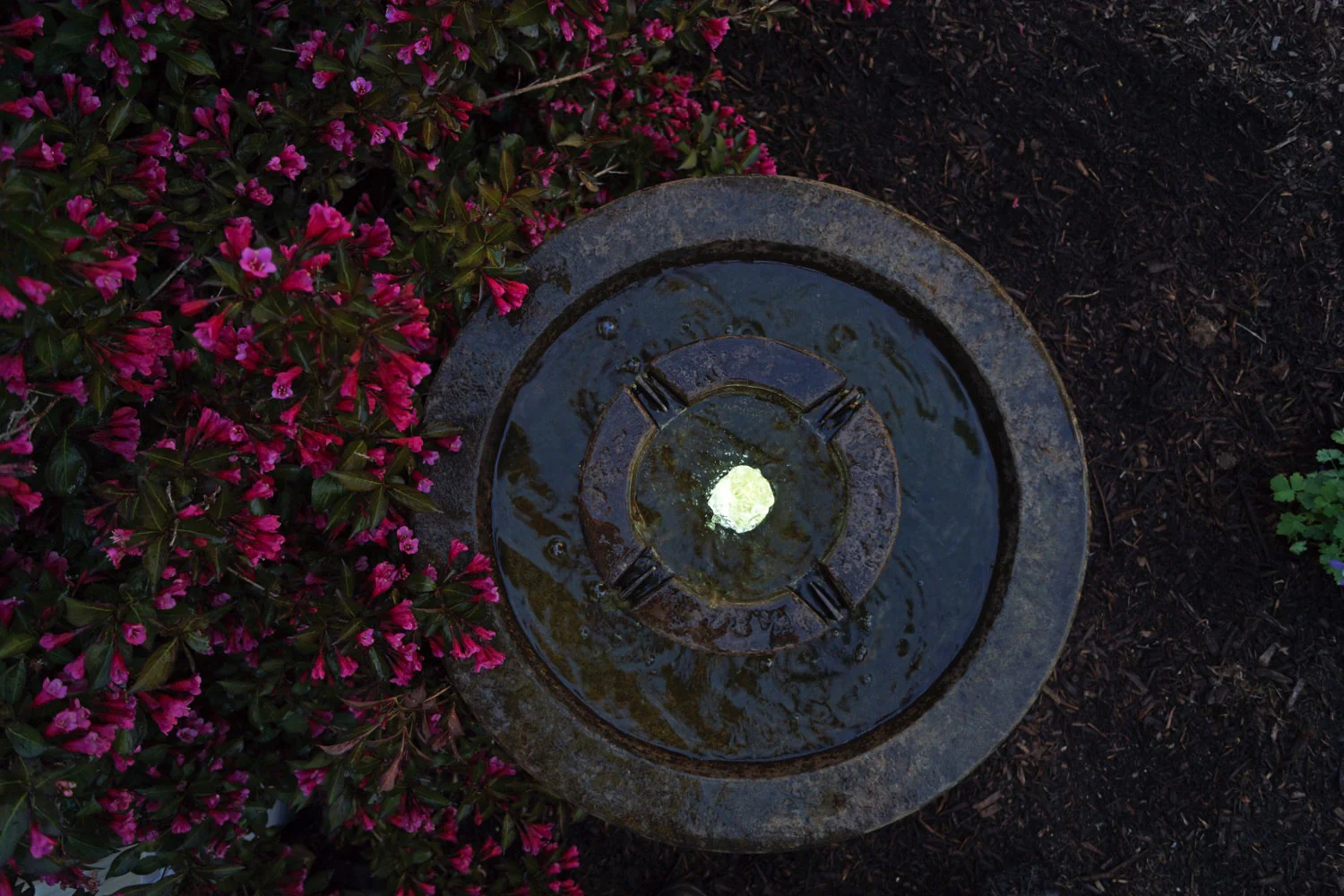 Aquarius Garden Cement Fountain with Light 36" H - Image 3