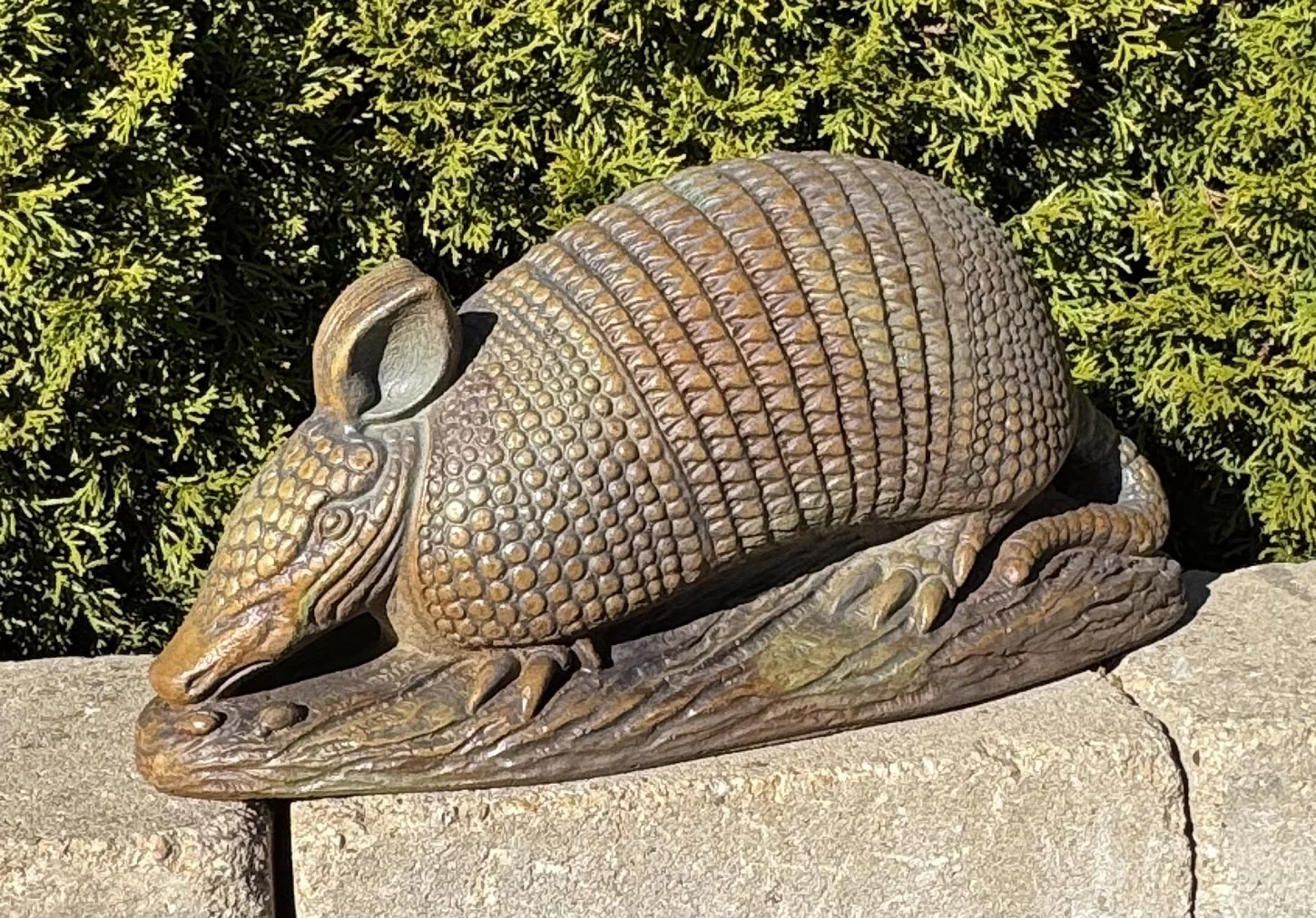 Armadillo Cement Garden Sculpture - Image 2