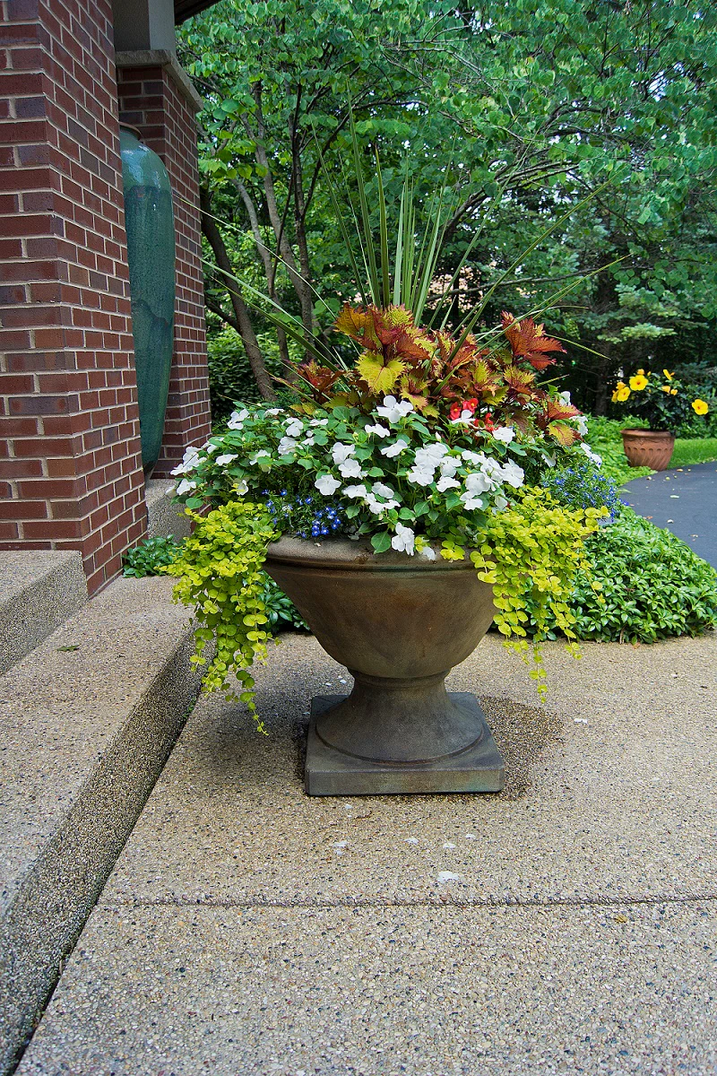 Avanti Low Estate Garden Urn 36" Diameter - Image 2