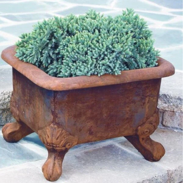 Basin Cement Planter with Feet - Image 3