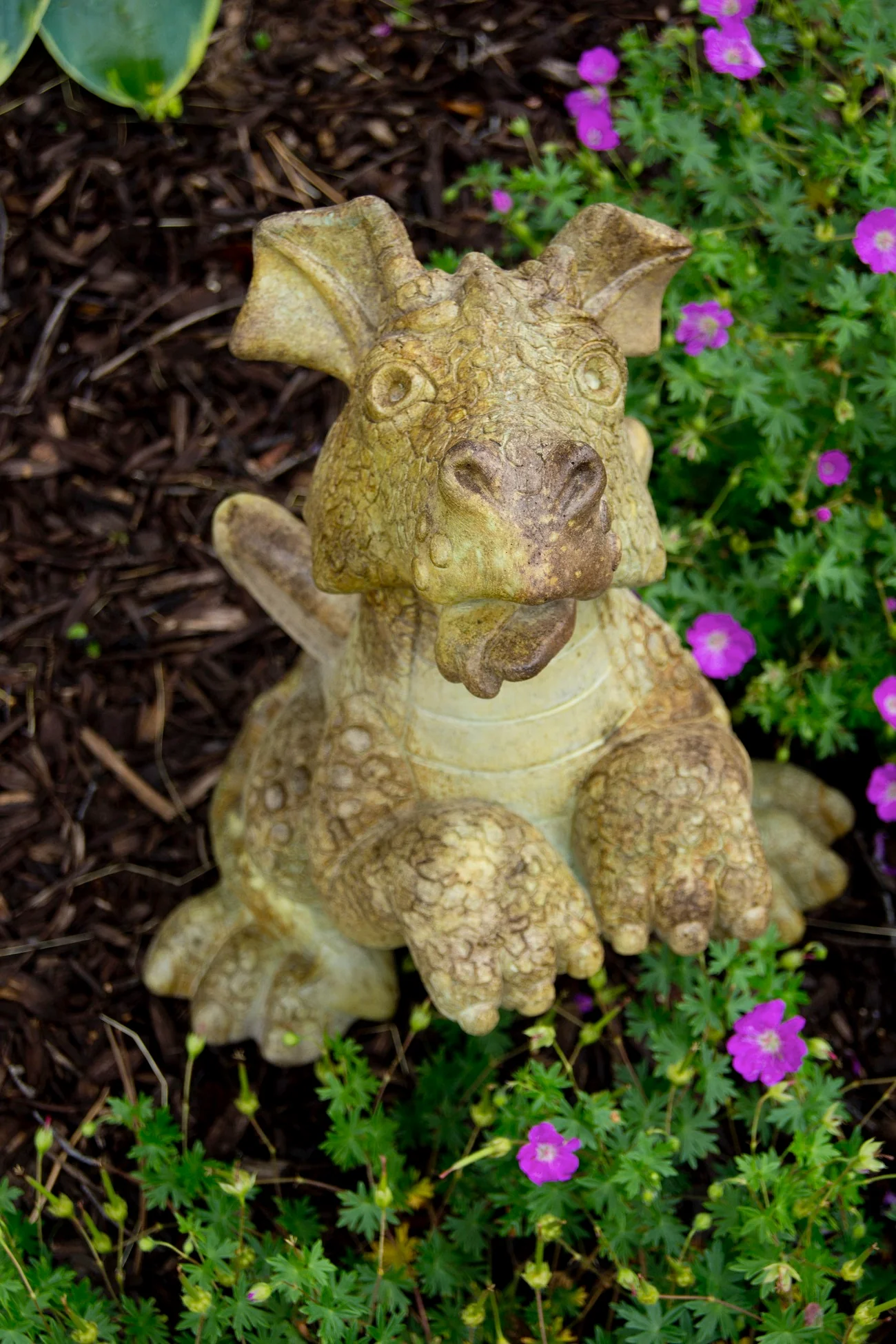 Bella the Begging Dragon Garden Statue 15.5" High - Image 2