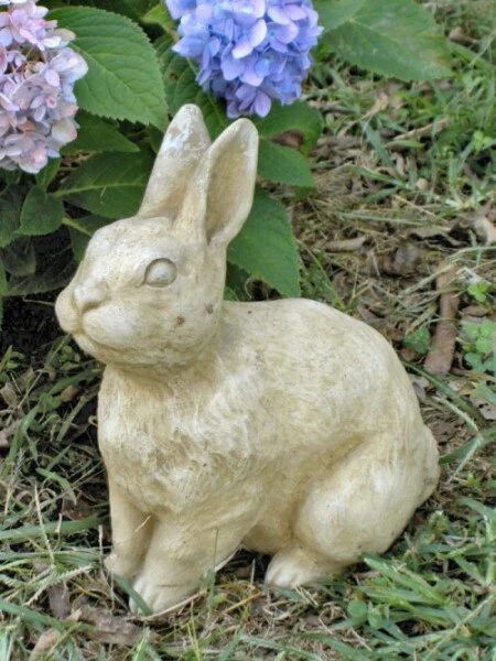 Bill Bunny