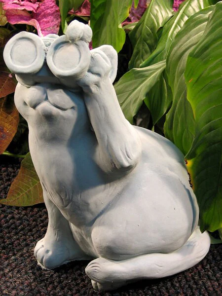 Bird Watching Cat - Image 2