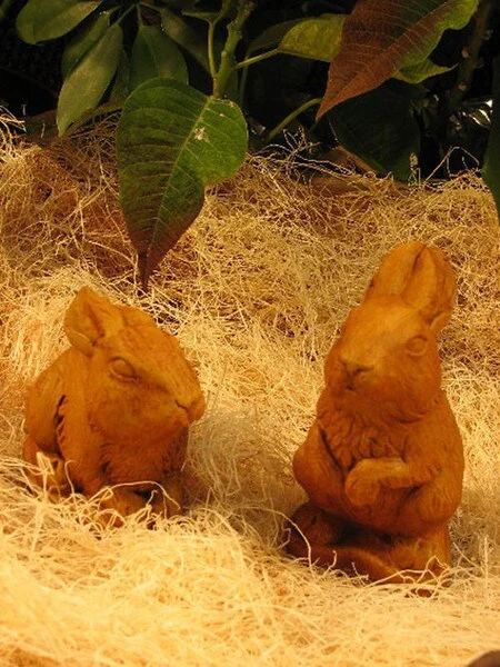 Bunny Pair