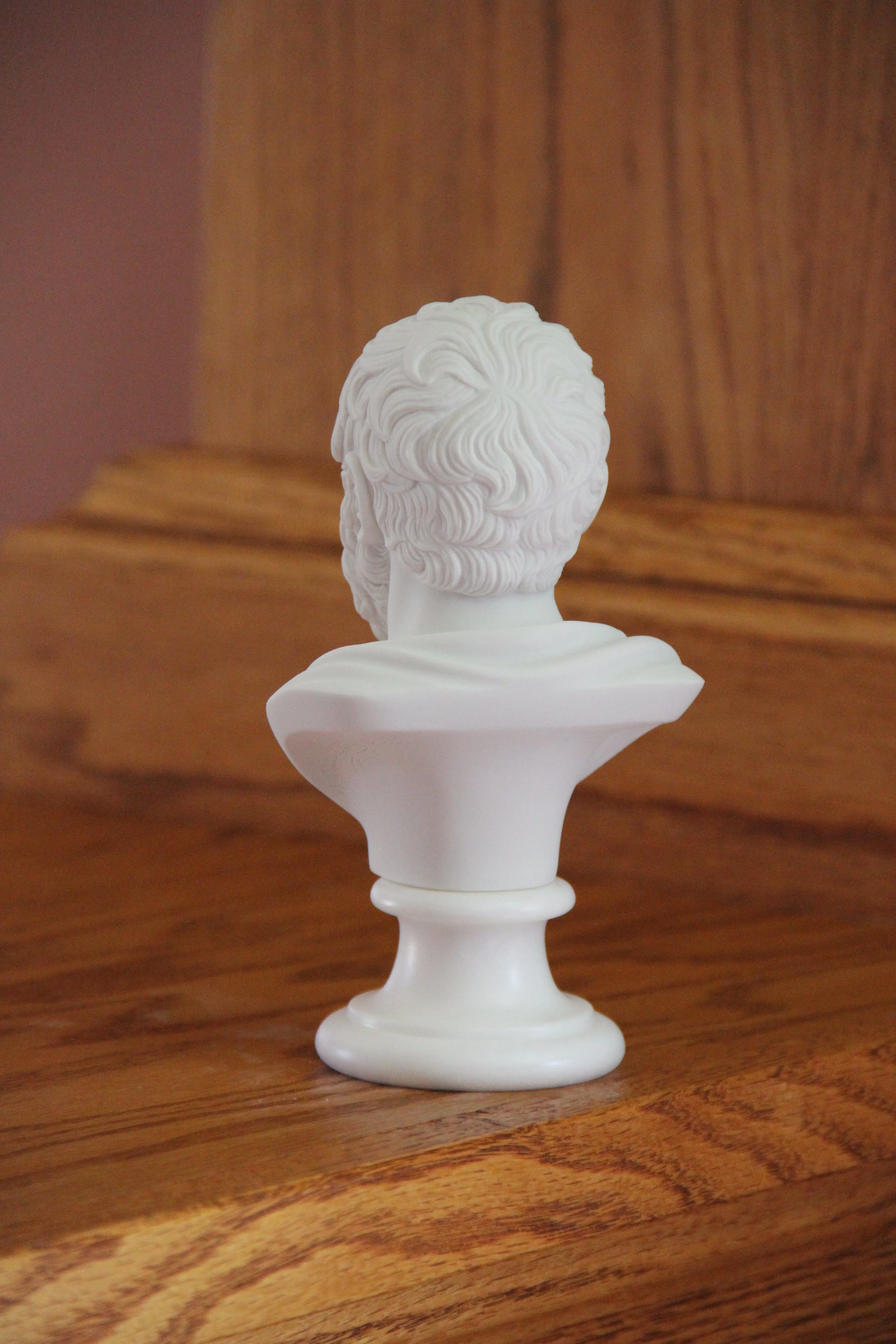 Bust of Socrates Marble Statue - Image 4
