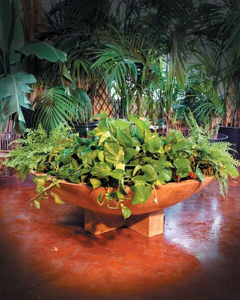 Cross Wok Planter 52" Wide