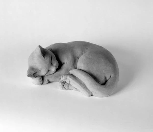 Curled Cat Large