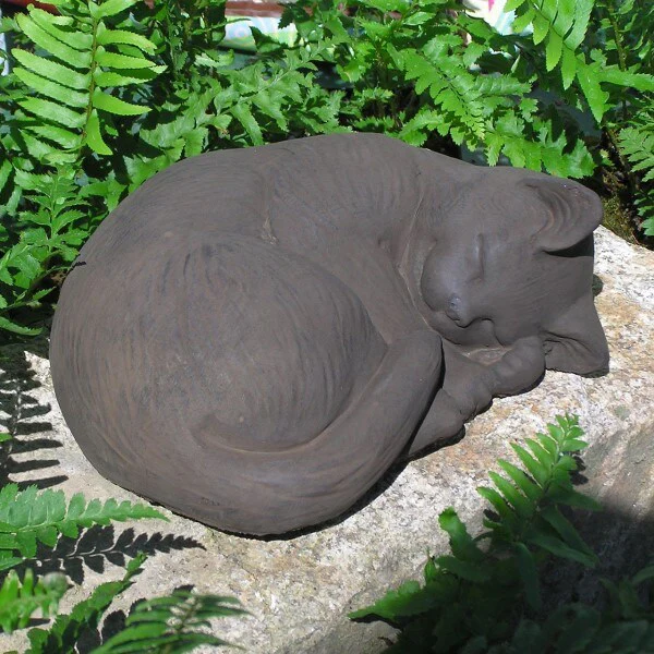 Curled Cat Small