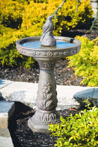 Daisy Bird Bath With Baby Bird Sitting