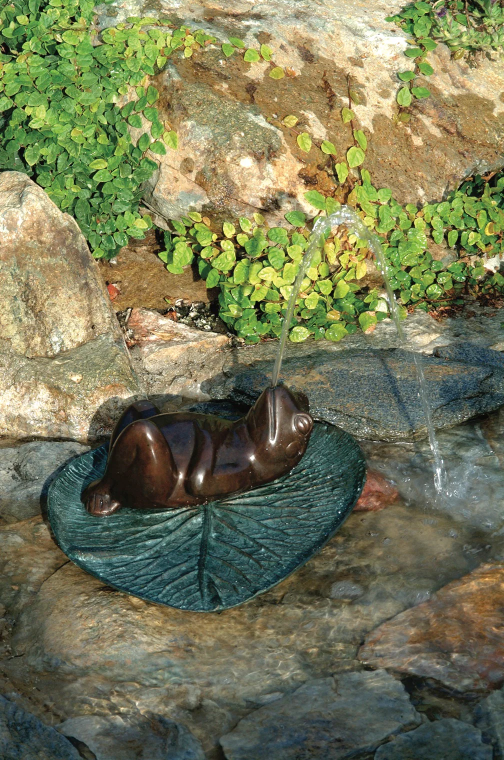 Lily Pad Frog Bronze Water Spitter 14" Long - Image 2