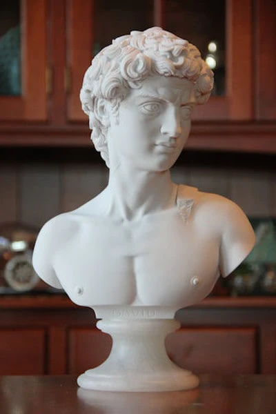 David Bust By Michelangelo 14" High - Image 2