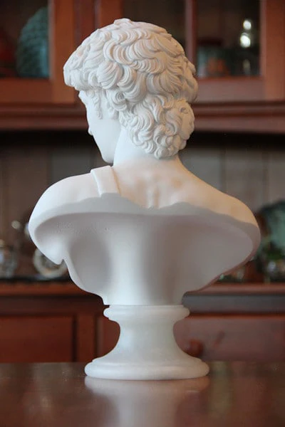 David Bust By Michelangelo 14" High - Image 4