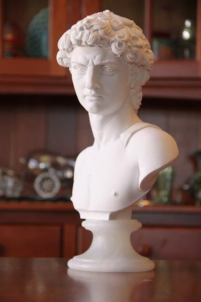 David Bust By Michelangelo 14" High - Image 5