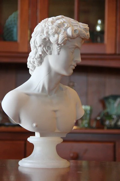 David Bust By Michelangelo 14" High - Image 6