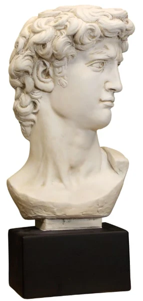 Head David by Michelangelo Bust Sculpture 24" H - Image 7