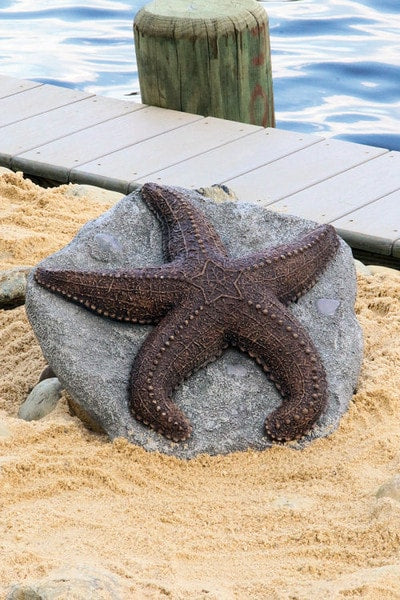 Deep Sea Starfish Sculpture