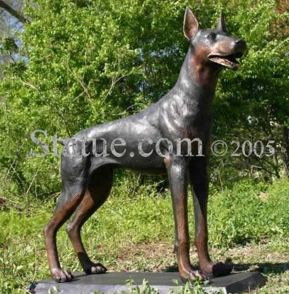 Doberman Pinscher