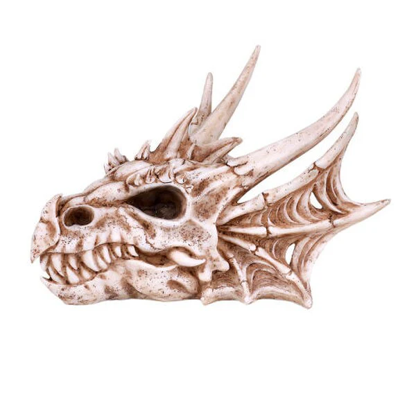 Dragon Sculptural Skull Statue
