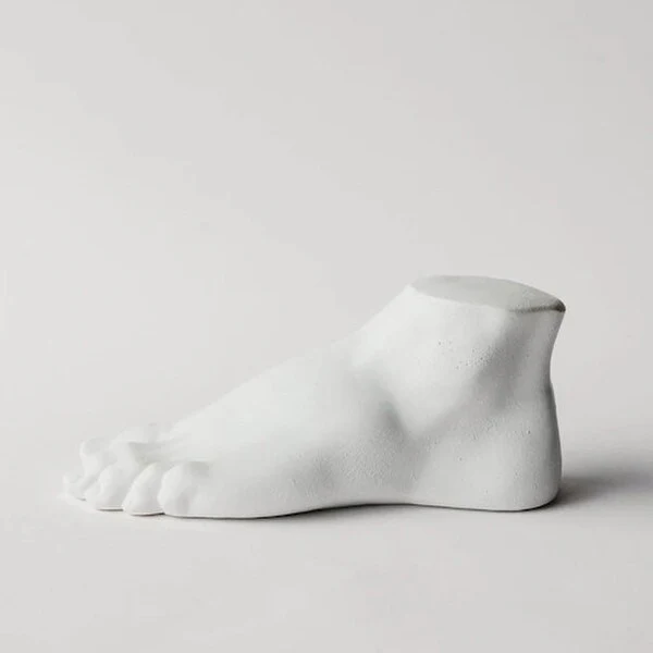 Drawing Study Casting Plaster Foot