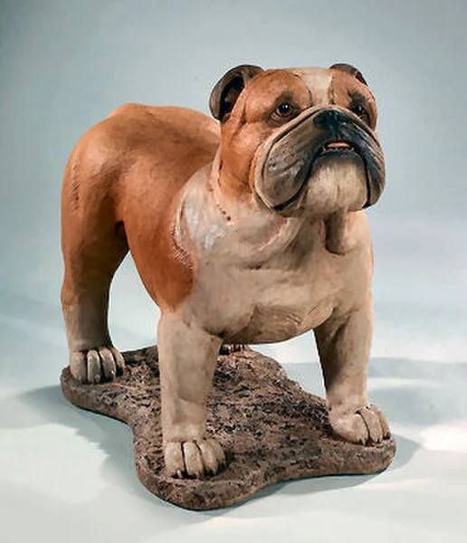 English Bulldog Life-size 21.25" High