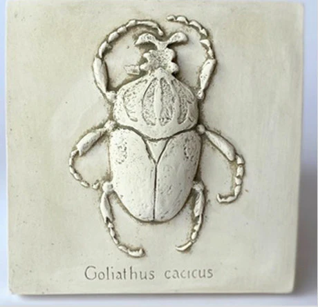 Entomology Beetle Study Wall Plaque Sculpture