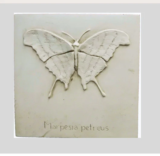 Entomology Butterfly Study Wall Sculpture
