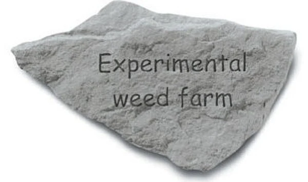 Experimental Weed Farm