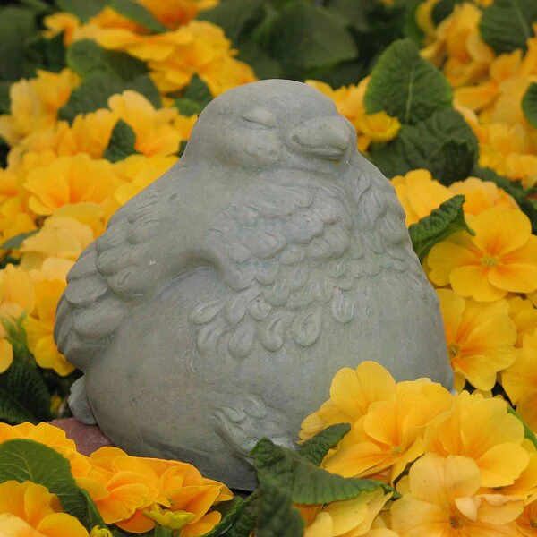 Fat Bird