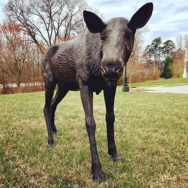 Female Moose Bronze Life Size
