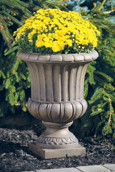 Florentine Urn Vase 24.75" High