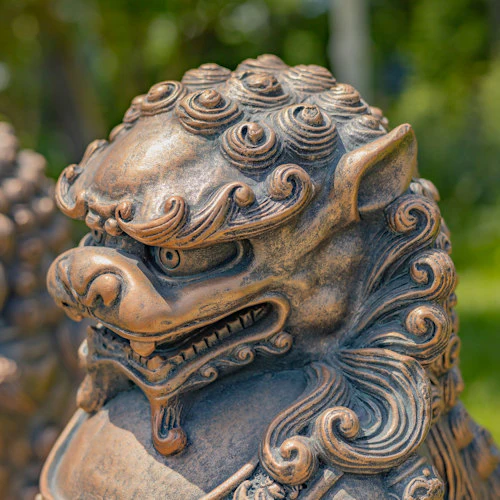 Foo Dogs Sentinels Statues Fu Lions Sculptures - Image 5