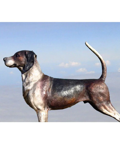 Foxhound Pointer Dog Bronze Sculpture - Image 3