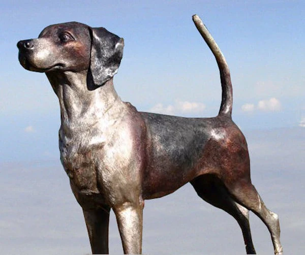 Foxhound Pointer Dog Bronze Sculpture - Image 4