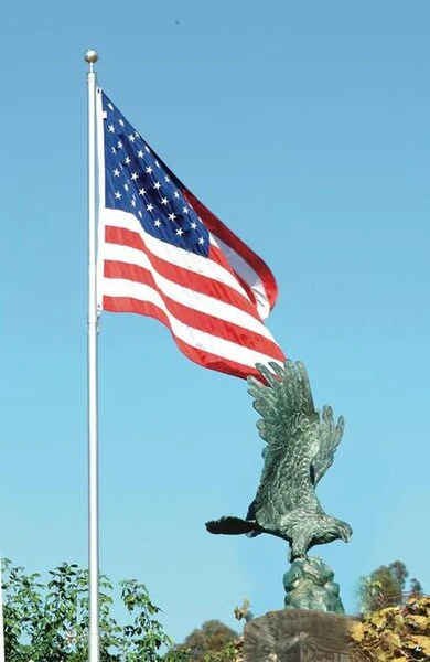 Freedom Eagle 37" High - Image 2