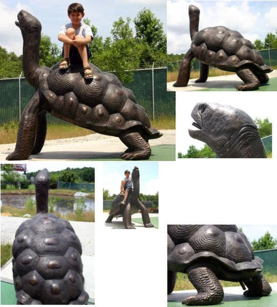 Galapagos Tortoise Spouting Water Feature Bronze Sculpture