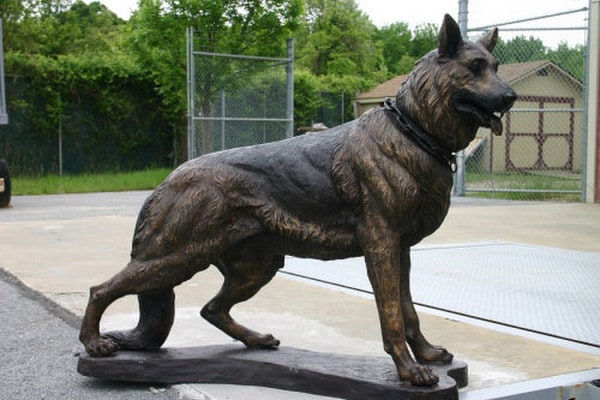 German Shepherd Bronze Dog Standing Life-Size Statue - Image 2
