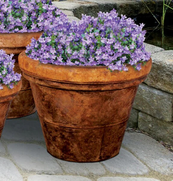 Giant Palm Cement Pot 31.5" High