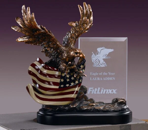 Glass Imprint Eagle Framew/american Flag