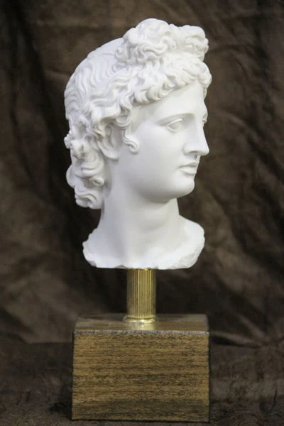Head of Apollo Belvedere on Base Bust Statue 10" H