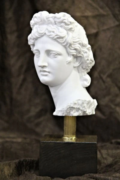 Head of Apollo Belvedere on Base Bust Statue 10" H - Image 2
