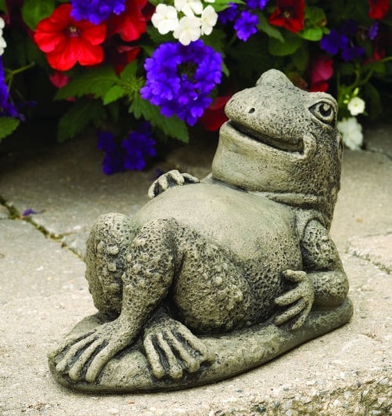 Henry - Frog