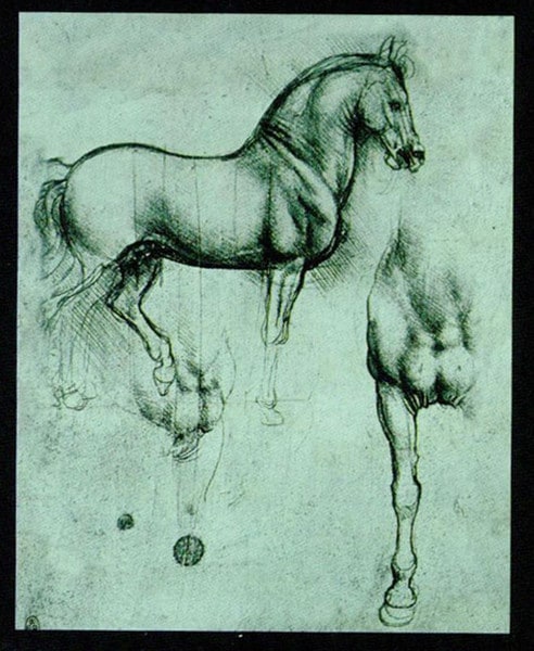 Horse - School Of Leonardo Da Vinci - Image 4
