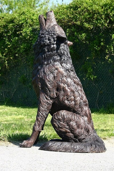 Howling Wolf Bronze Sculpture Life Size Statue 37" - Image 3